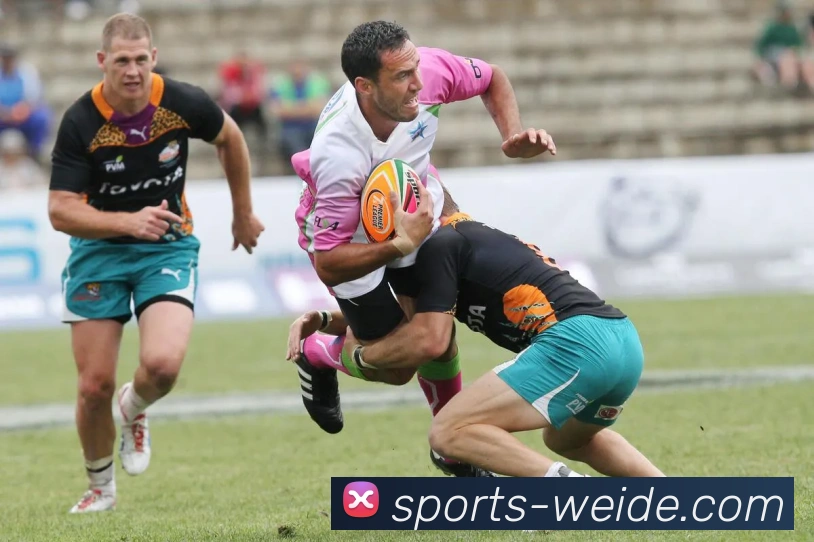 体育下注品牌故事